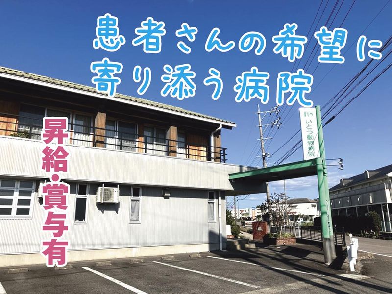 有限会社いとう動物病院の求人・転職情報