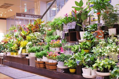 フロリスト・コロナ　第二営業所　敷津花壇運営部のアルバイト・バイト求人情報-03
