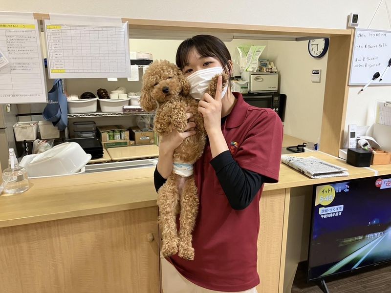 株式会社喜道愛楽(デイサービスあきばさん家)のアルバイト・バイト求人情報-05