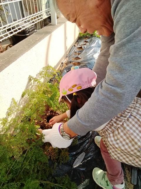 光善寺保育園のアルバイト・バイト求人情報-04