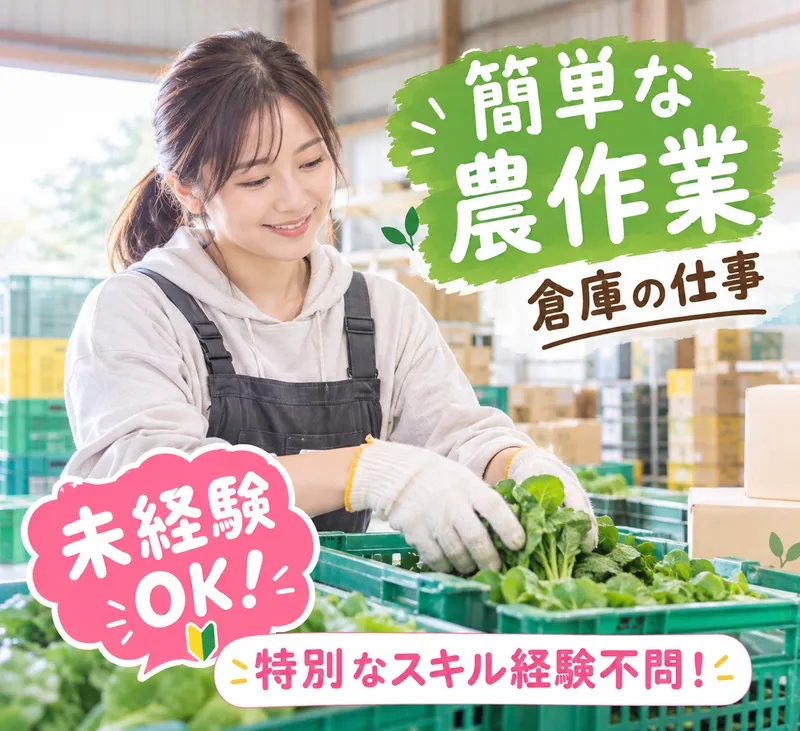 アイ・ビー・エス・アウトソーシング株式会社　(派遣先:栃木県小山市)のアルバイト・バイト求人情報