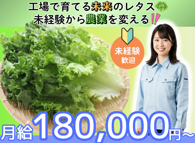 テイケイワークス東京 株式会社の求人・転職情報