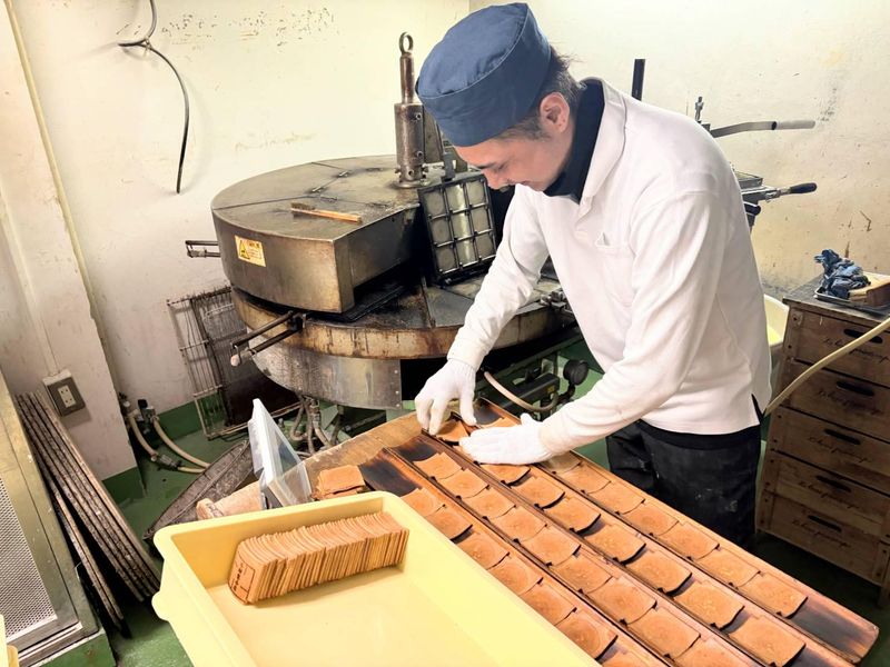 有限会社あさくさ未希の求人・転職情報