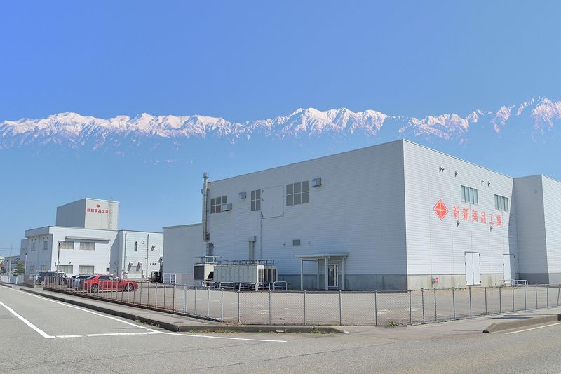 新新薬品工業株式会社の求人・転職情報