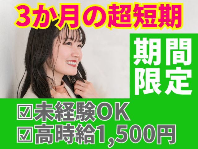 株式会社MAYASTAFFING東海支店(派遣)のアルバイト・バイト求人情報-04