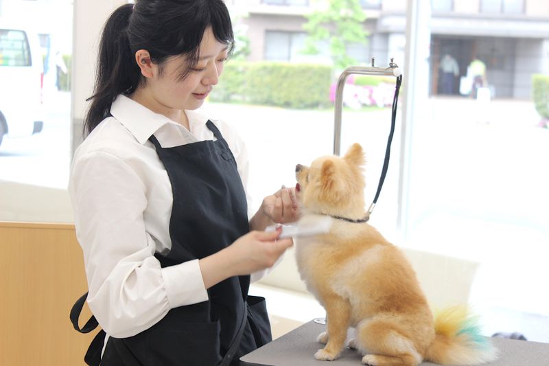 トリミングサロンブルーム葛西のアルバイト・バイト求人情報-11