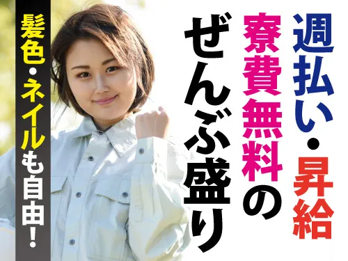 株式会社マイセルフの派遣求人情報