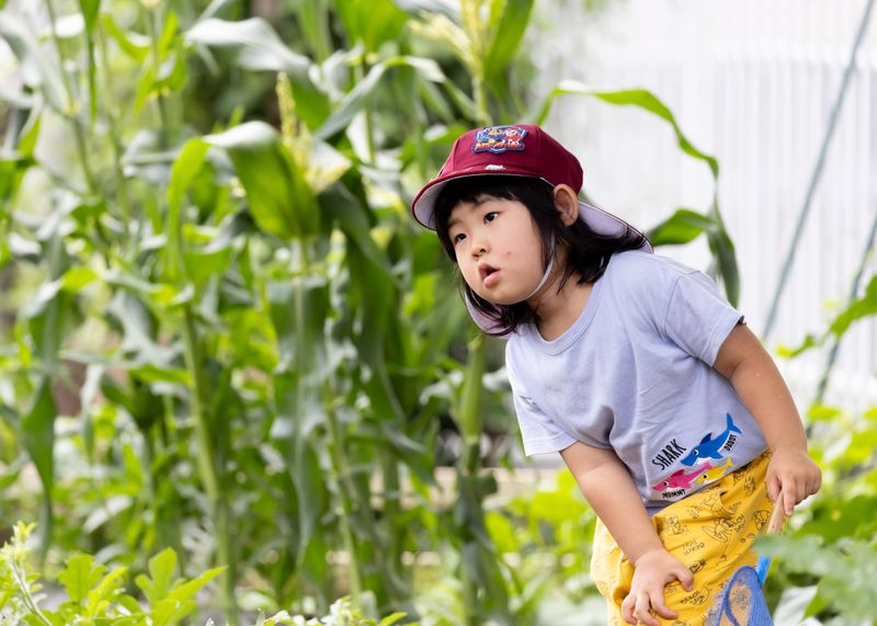 社会福祉法人双葉の園の求人・転職情報