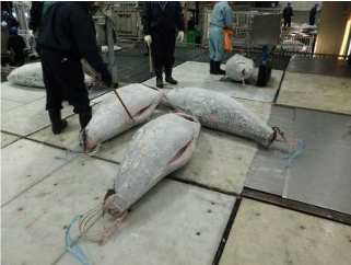 日本超低温株式会社のアルバイト・バイト求人情報-03