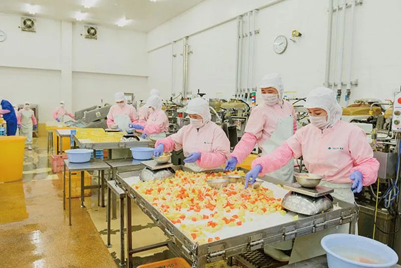 株式会社クローバー食品　センター工場/出荷センターの派遣求人情報