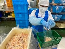 株式会社ベジプロの求人情報