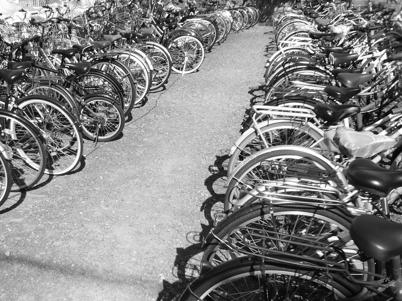 ピーアーク北綾瀬 ピーくんガーデンのアルバイト・バイト求人情報-02