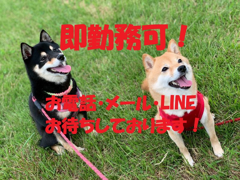 株式会社東和コーポレーション湘南営業所【善行】のアルバイト・バイト求人情報-07