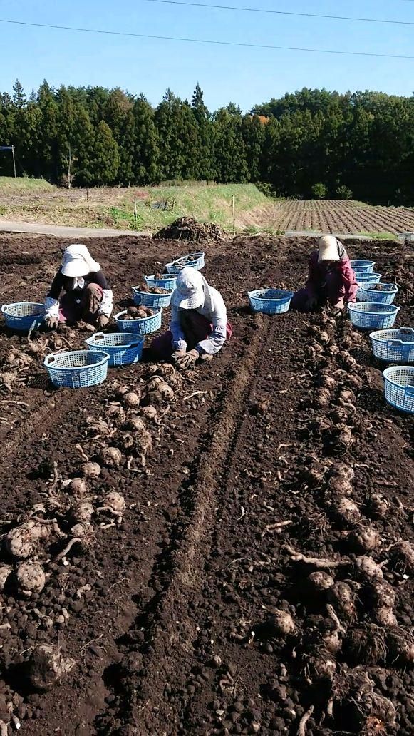 後藤農園のアルバイト・バイト求人情報-03