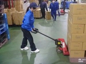 株式会社ニイガタキャリイのアルバイト・バイト求人情報-03