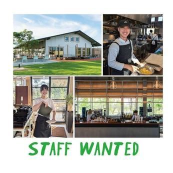 株式会社バルニバービ インターフェイスの求人・転職情報