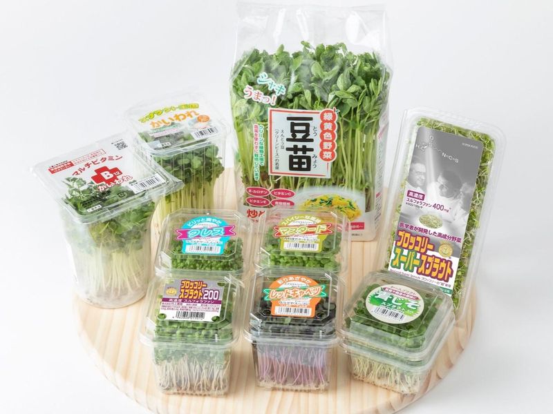 【福岡】農学・生物系学生必見　 機能性野菜の生産現場ツアー