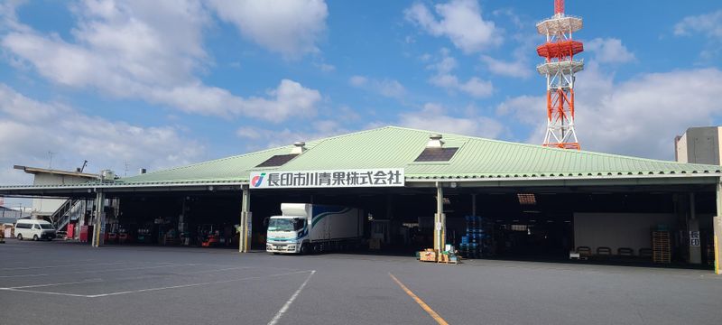 ㈱松戸大栄青果の求人・転職情報