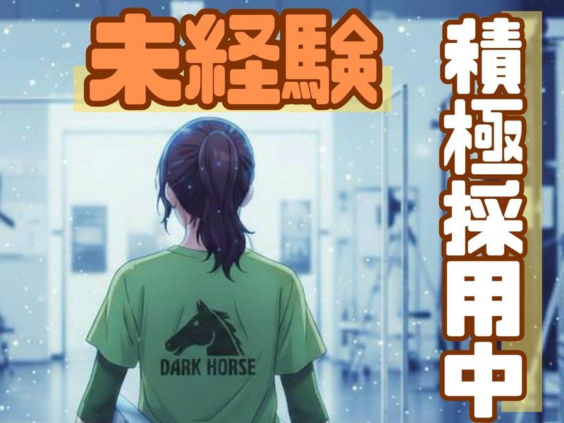 株式会社ダークホースの求人・転職情報