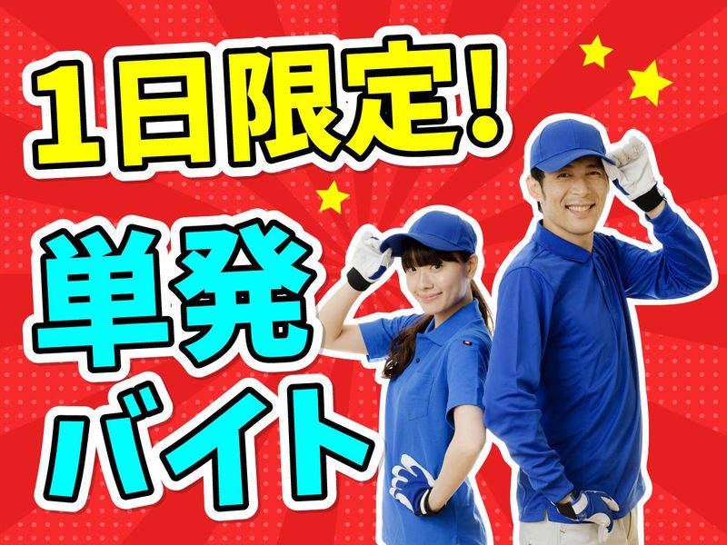 株式会社ギルドの派遣求人情報