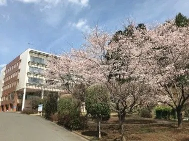 社会医療法人社団愛有会 さんあい介護医療院の求人・転職情報