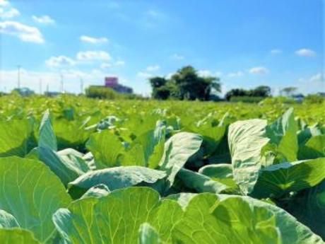株式会社HS FARMの求人・転職情報