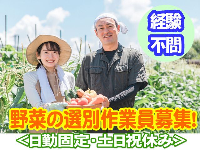 株式会社ピース　ピーススタッフ