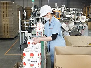藤枝製紙株式会社の求人・転職情報
