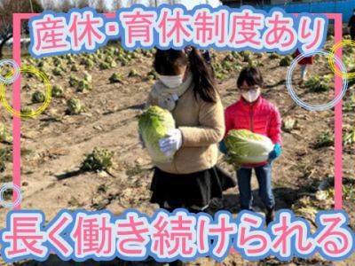 このこのリーフ　市川大洲教室のアルバイト・バイト求人情報-05