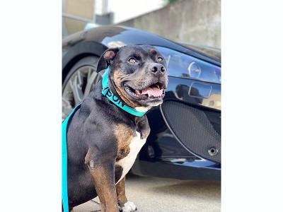 株式会社プラウディアのアルバイト・バイト求人情報-04