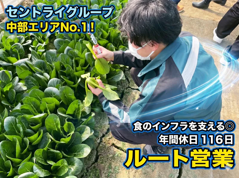 セントライ青果株式会社-0003の求人・転職情報