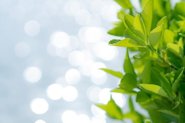 近建ビル管理株式会社　太秦天神川の私立大学のアルバイト・バイト求人情報-19