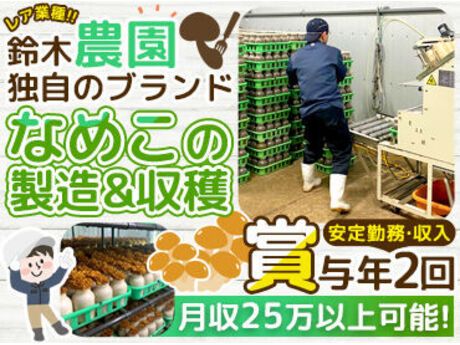 株式会社ベルッコの求人・転職情報