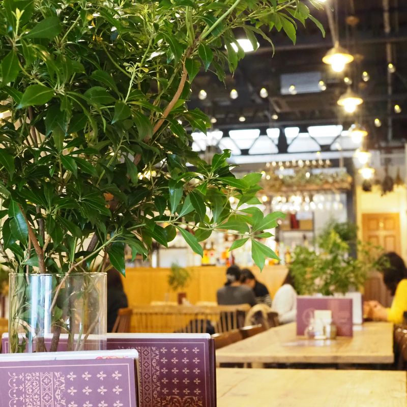 株式会社和創の求人・転職情報