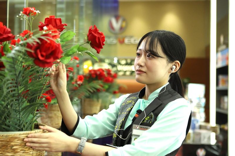 株式会社ベガスベガス