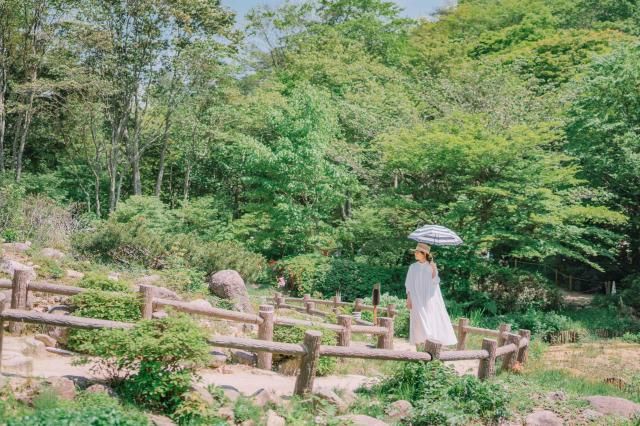 六甲山観光株式会社の求人・転職情報