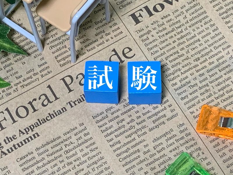 旭川トーヨーホテル(株式会社 全国試験運営センター)のアルバイト・バイト求人情報-04