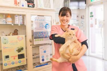 倉敷動物愛護病院の求人4