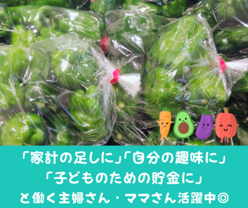 株式会社ベジタブルP.C.のアルバイト・バイト求人情報-03