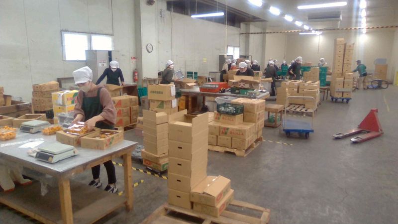 株式会社　早川食品のアルバイト・バイト求人情報-03