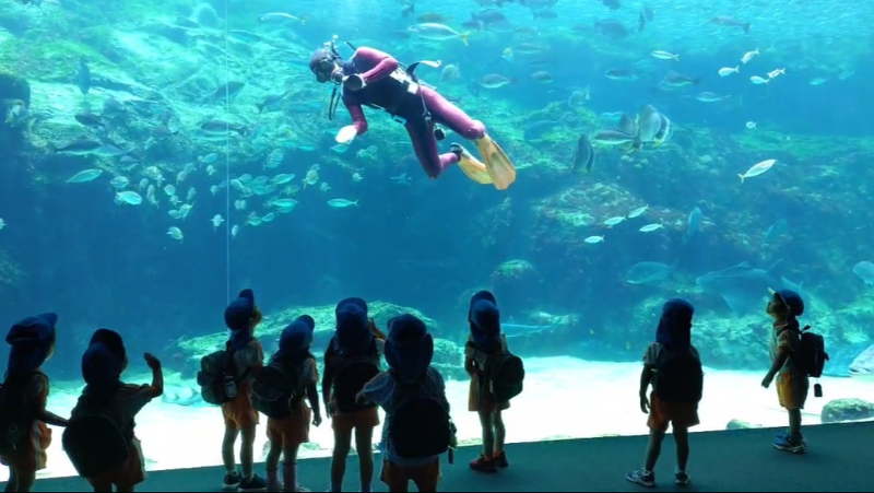 学校法人吉住学園の求人・転職情報