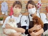 ペットショップWAN広島店のアルバイト・バイト求人情報-01