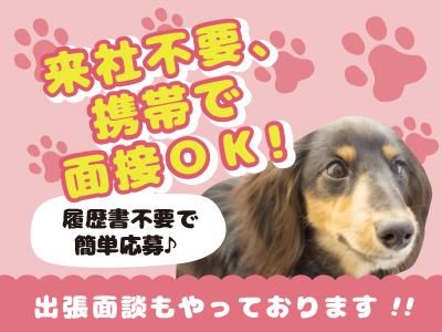 株式会社レポス　就業先:京都市伏見区の派遣求人情報