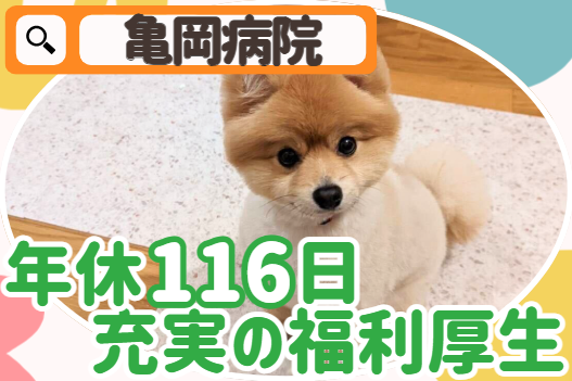 医療法人亀岡病院　亀岡病院の求人・転職情報