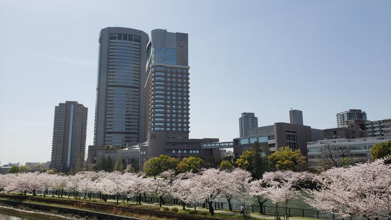 株式会社サーベイリサーチセンター　大阪事務所 調査3課のアルバイト・バイト求人情報-02