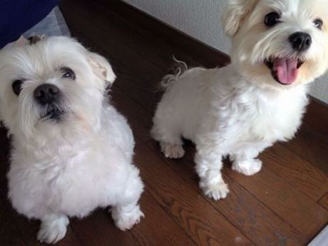 株式会社ヒューマニックのアルバイト・バイト求人情報-04