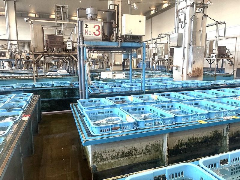 海芯(かいしん)/株式会社be-lief(本社)のアルバイト・バイト求人情報-04