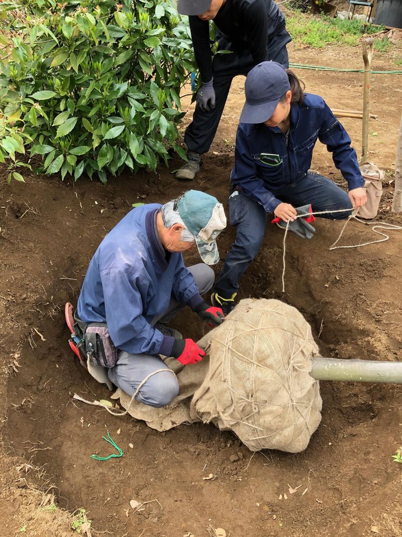 株式会社埼玉植物園のアルバイト・バイト求人情報-05