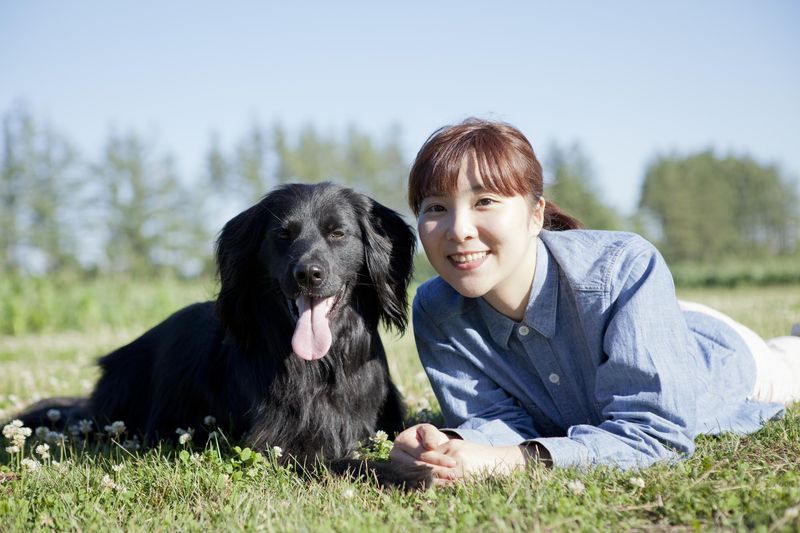 ＷｉｔｈＹｏｕ　日本ペットシッターサービス　の求人・転職情報