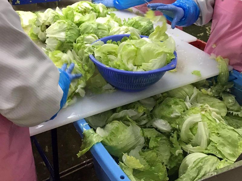 株式会社ヤマダイフーズ